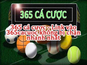 cacuocbet net